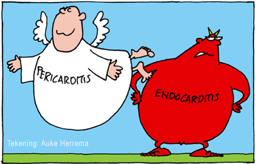Pericarditis en endocarditis